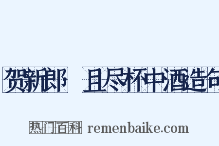贺新郎·且尽杯中酒造句是什么意思的图片